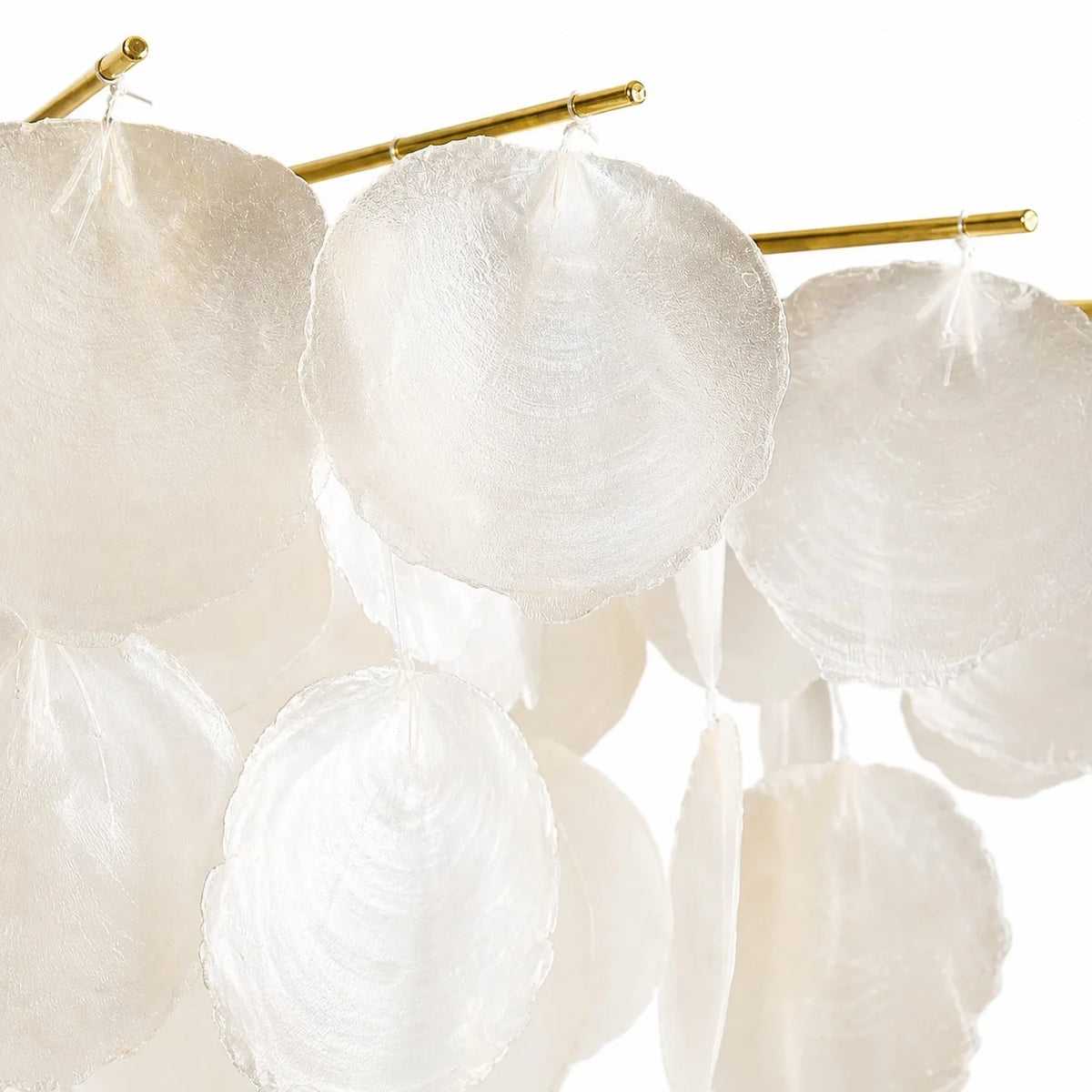 Leslie Luxury Natural Shell Metal Chandelier (7).webp__PID:c519abc8-bdd1-461e-b50a-4731271f5934